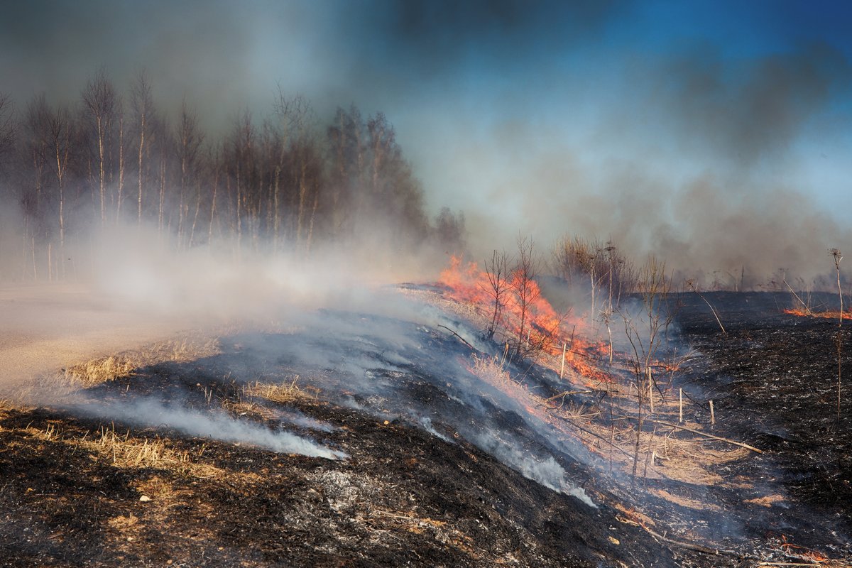 in den Bereichen ...