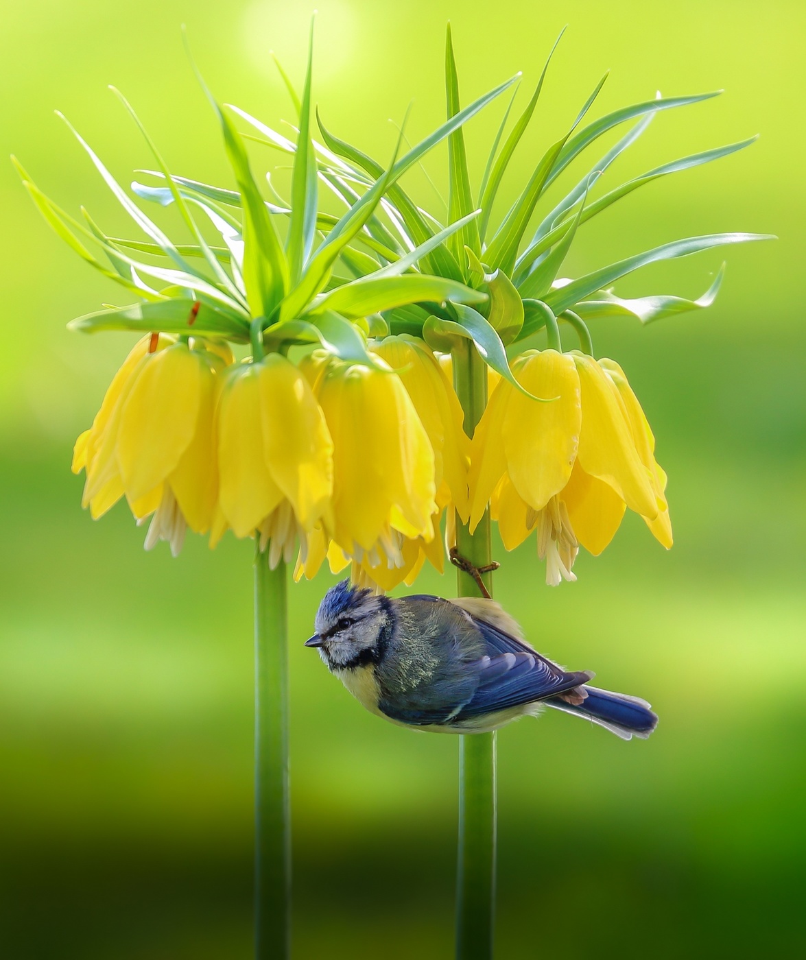 Ein schattiges Plätzchen