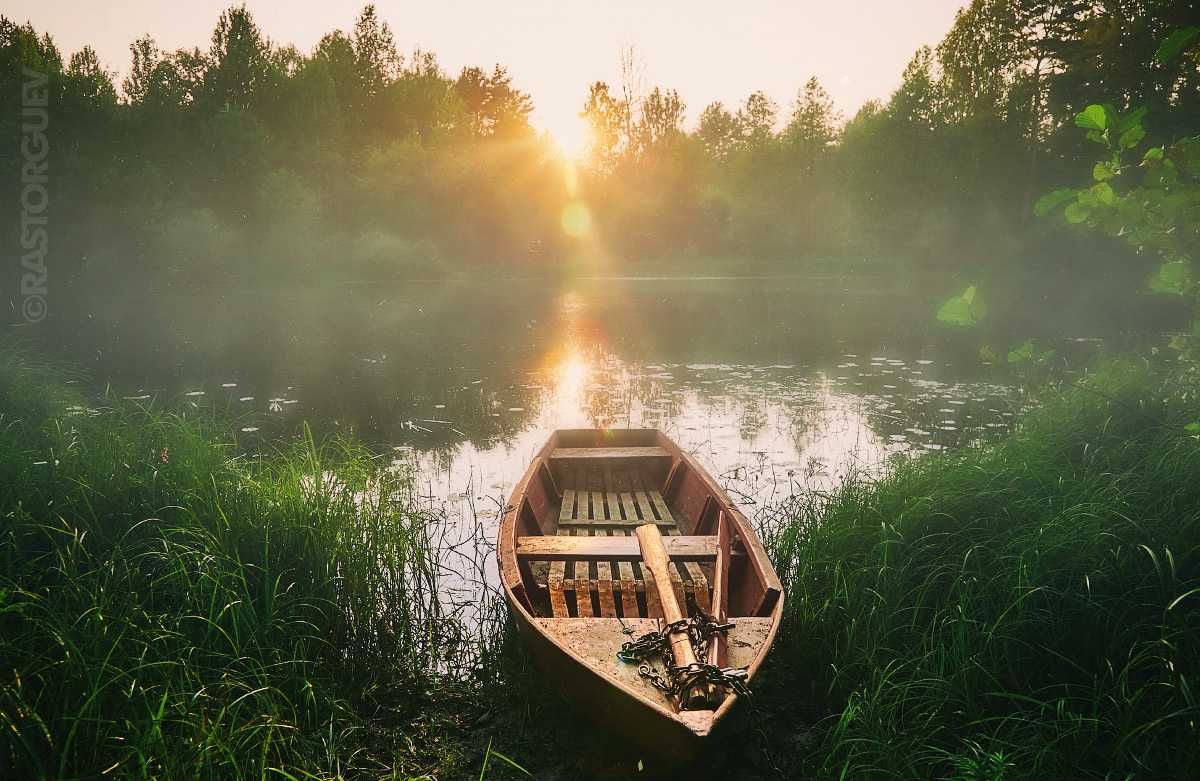 Foggy Sonnenuntergang