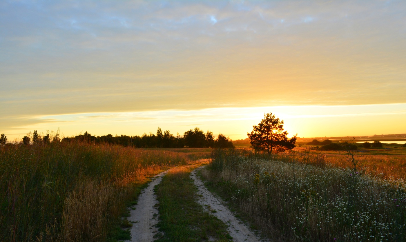 Straße auf die Sonne ...