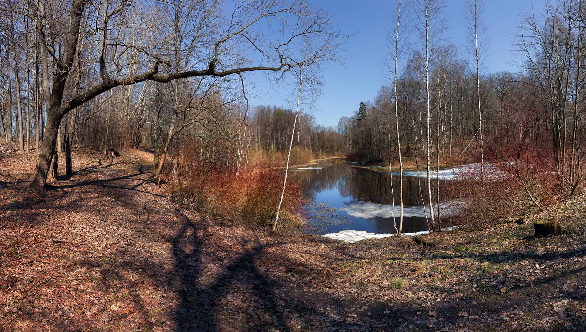 Schatten am Mittag ...