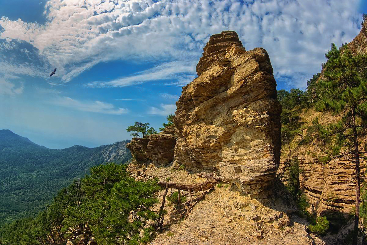 What a wonderful world!