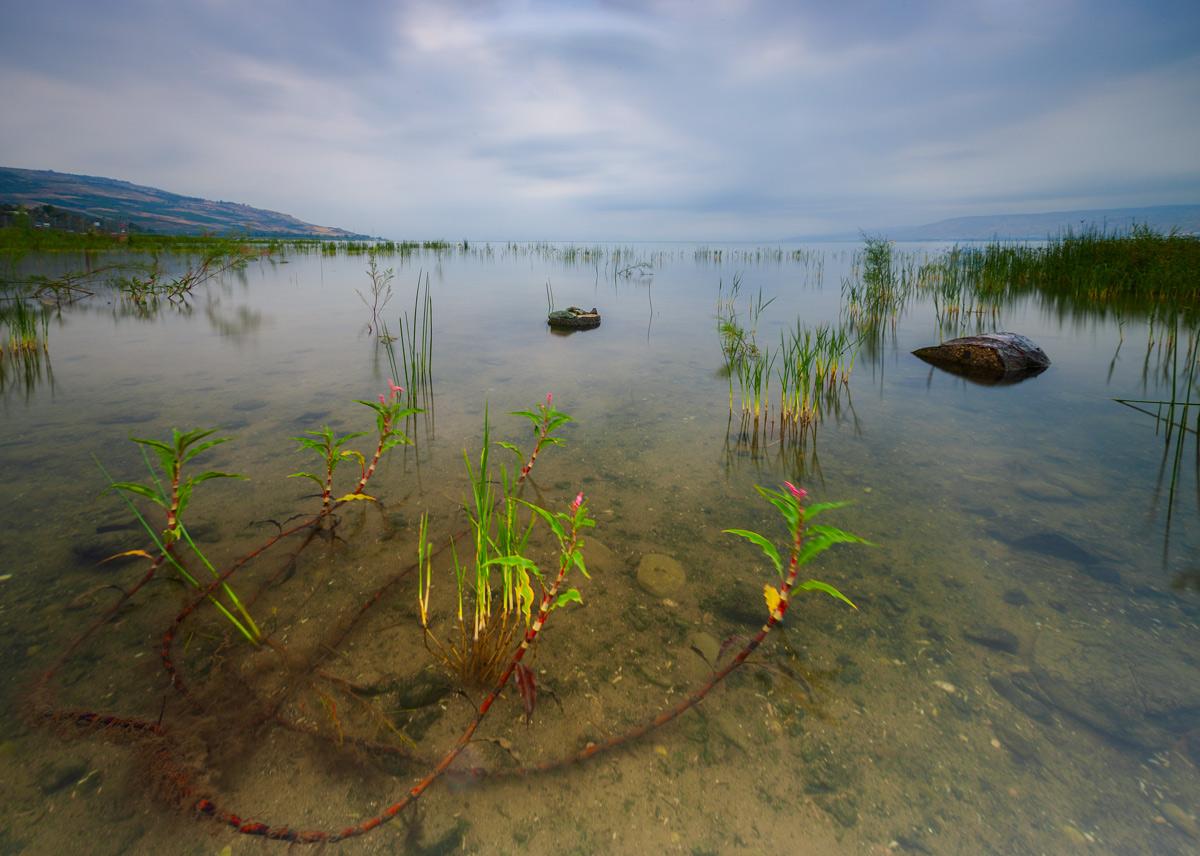Kinneret