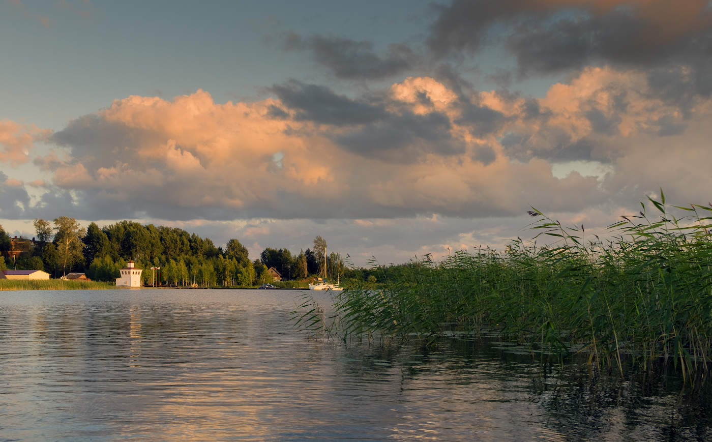 Rauschende Blätter ...