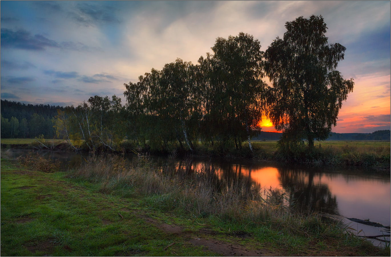 Wenn die Bäume groß