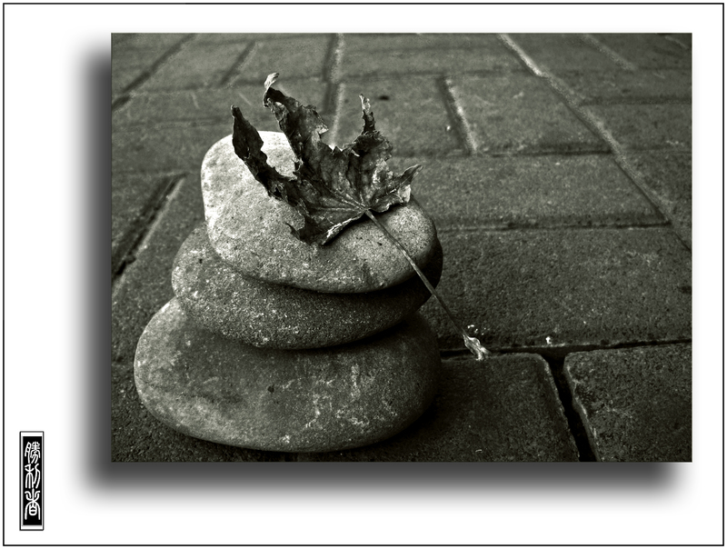 Autumn in the Zen style