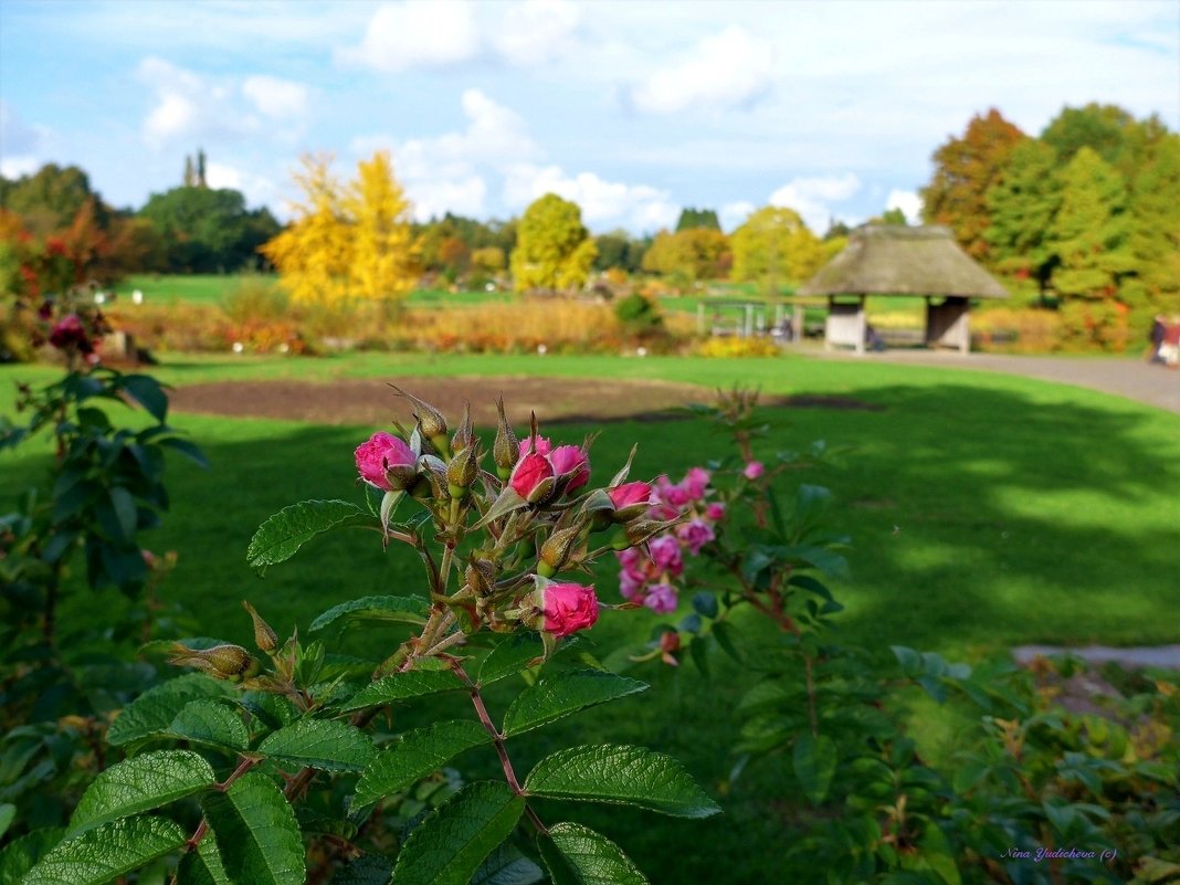 Loki Schmidt Garten Hamburg