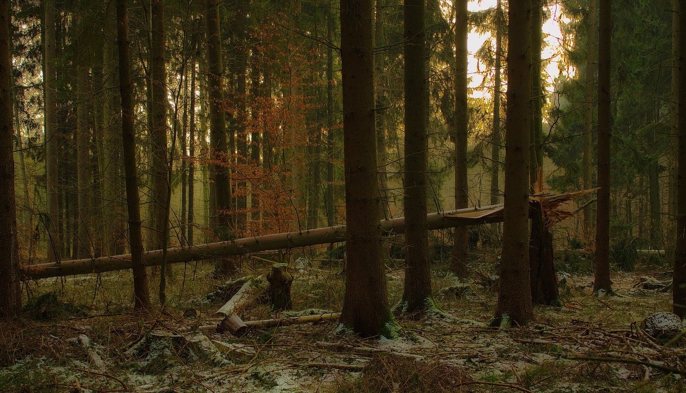 Der Frühling kommt ..