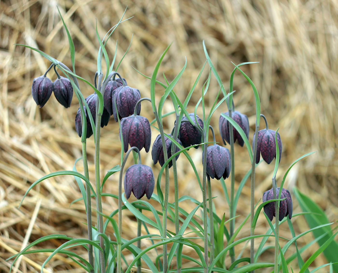 Warten auf die Sonne