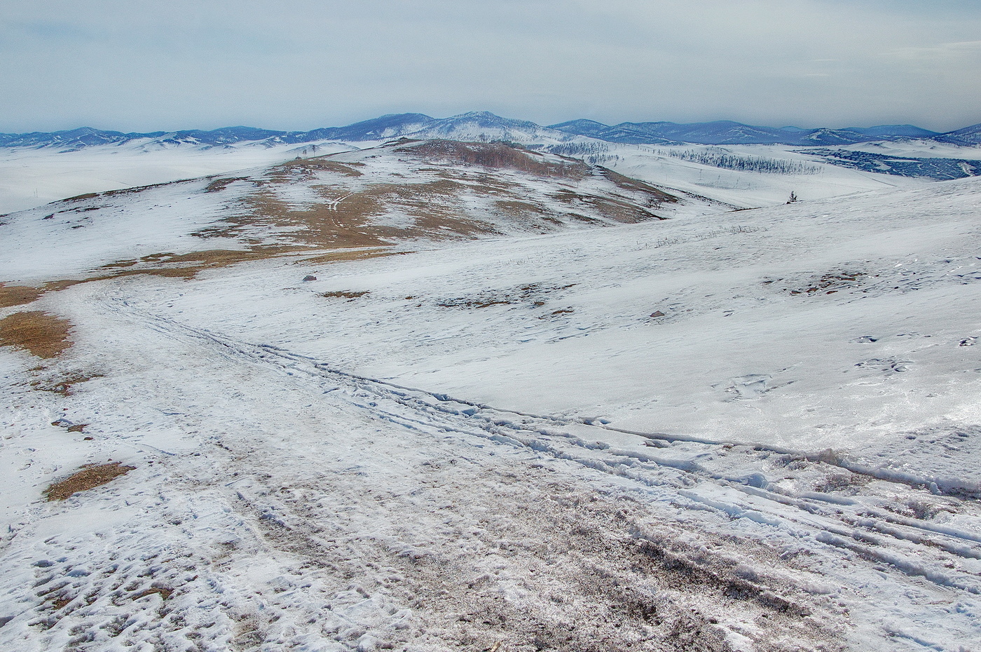 Erste Patches aufgetaut