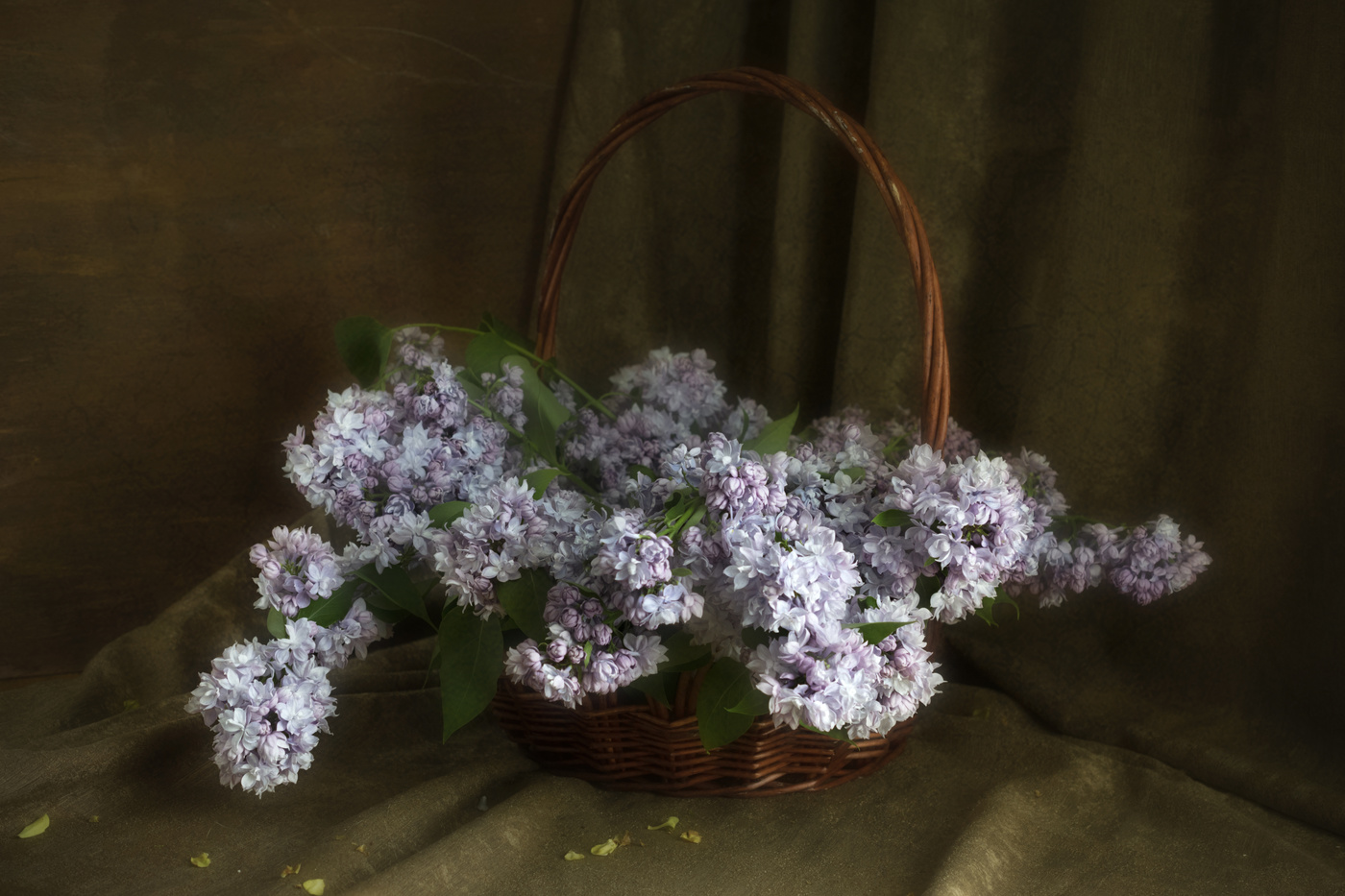 in den frühen Morgenstunden