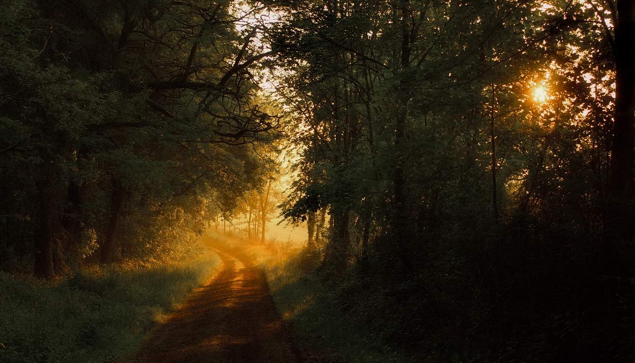 Im Einklang mit der Natur