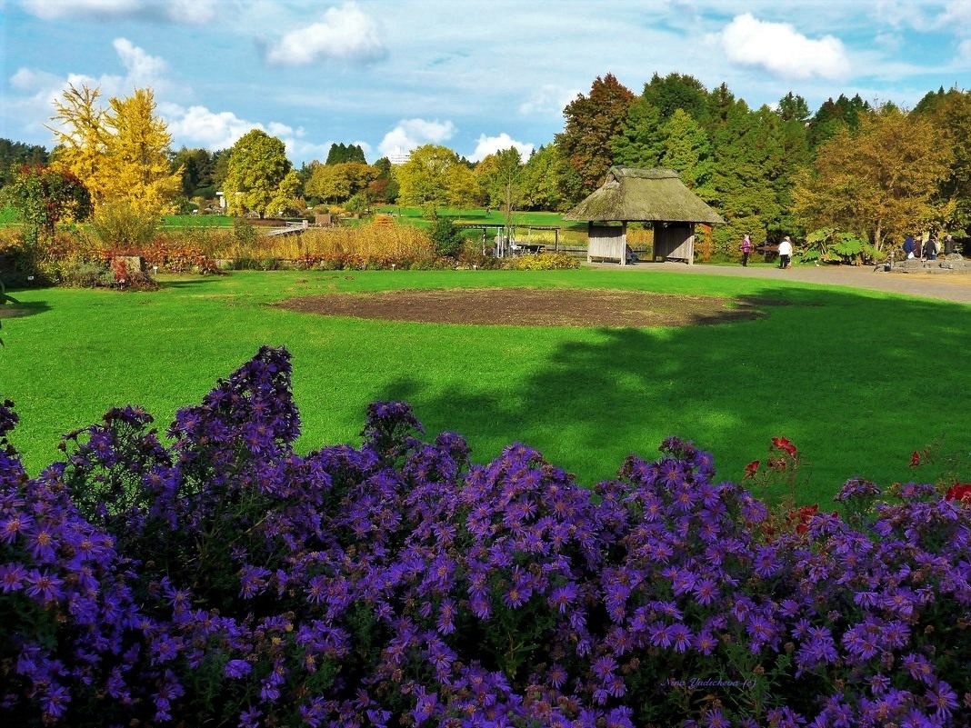 Loki Schmidt Garten Hamburg