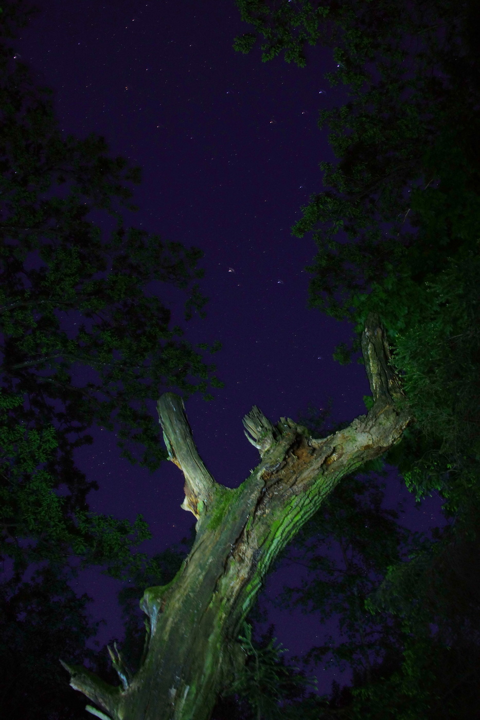 Per aspera ad astra.