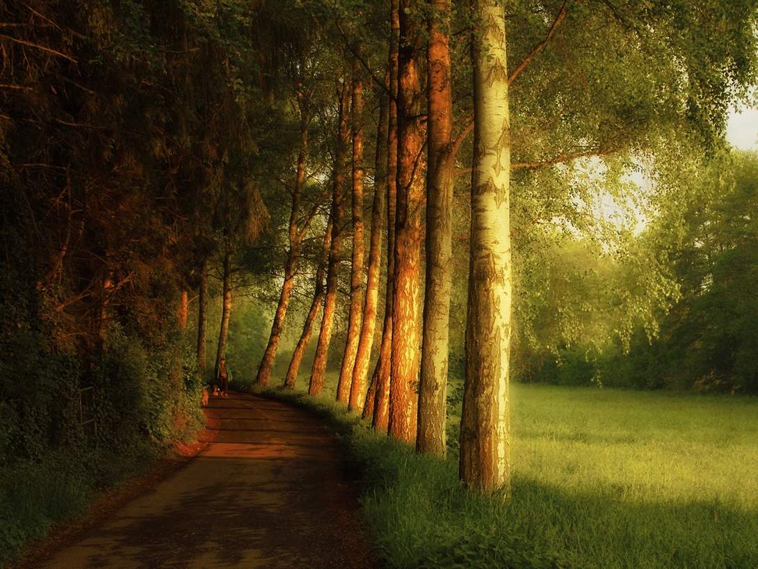 In der Morgendämmerung Stunden