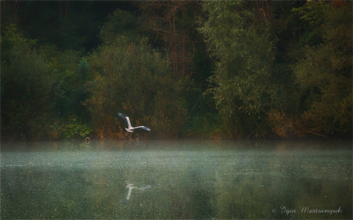 Am See in den Wäldern