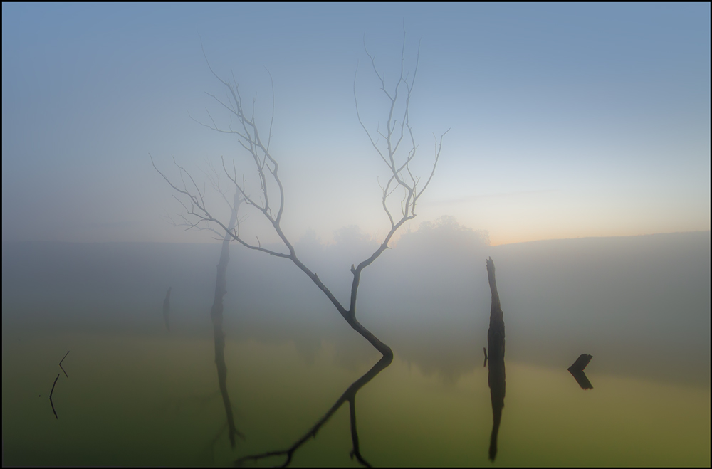 Nebligen Morgen ...