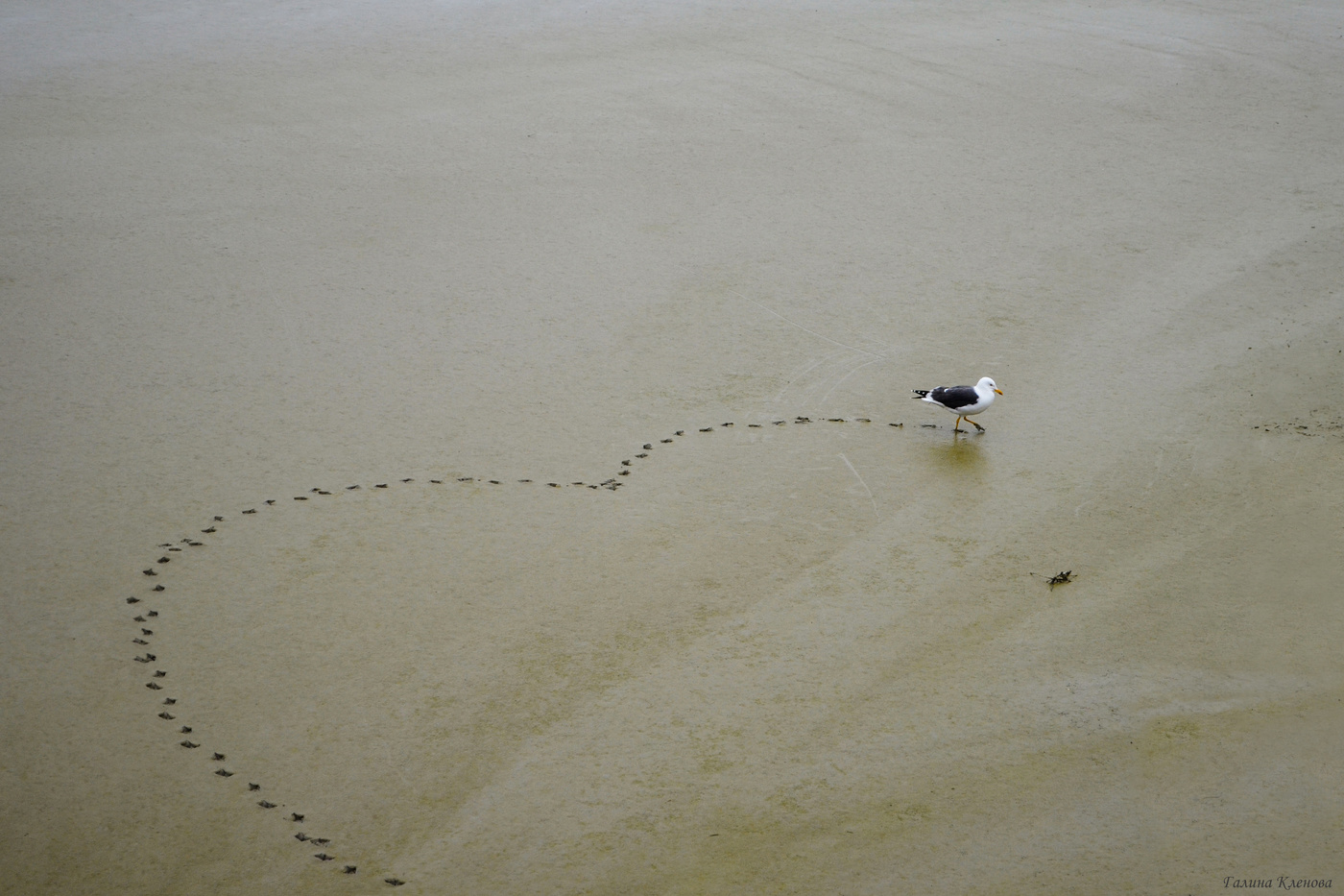 Noch einmal über die Liebe