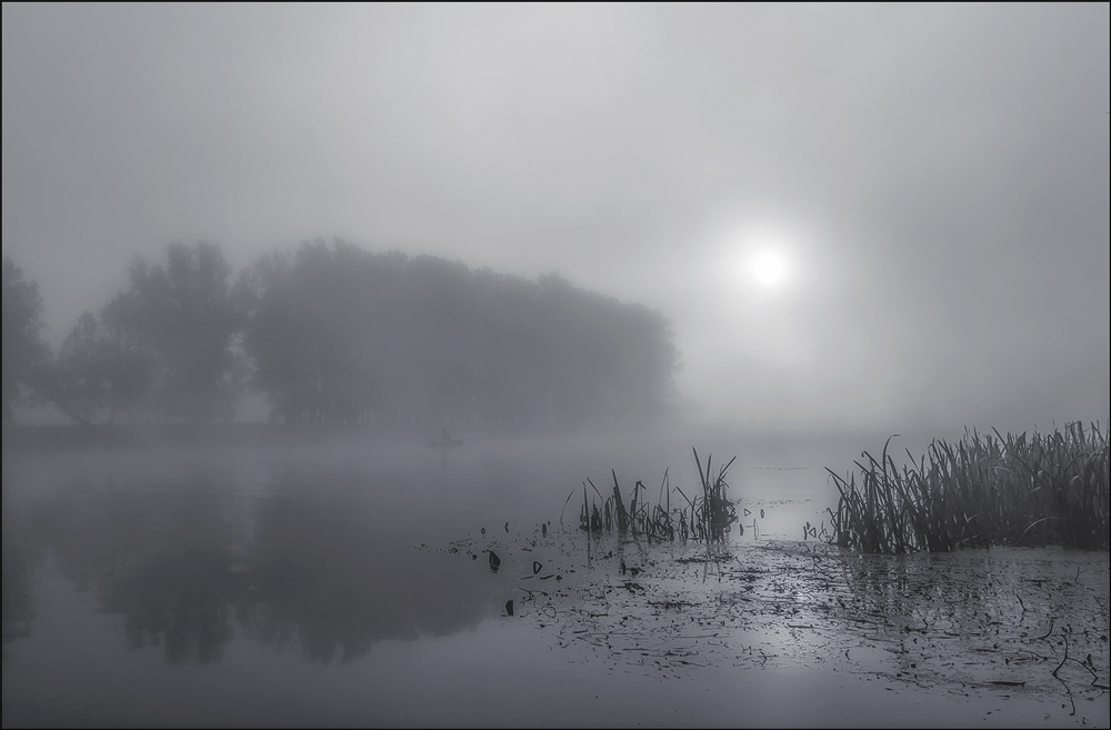 durch Nebel dominiert