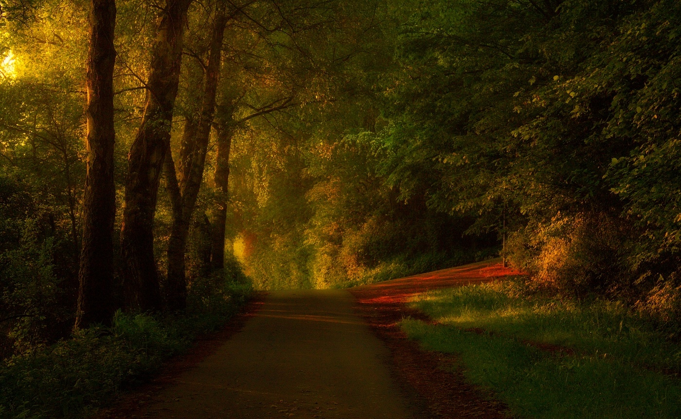 Morgen Farben sanften Licht