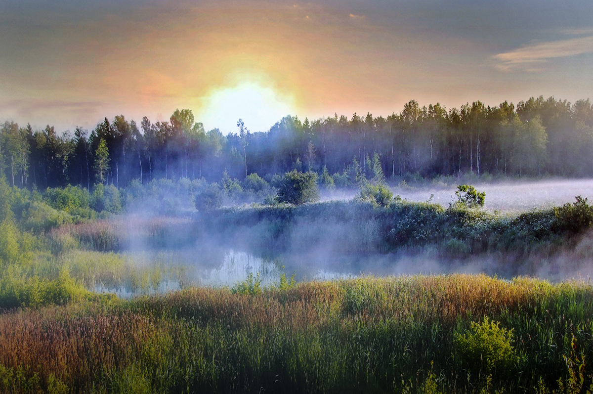 Der Nebel über dem Wasser
