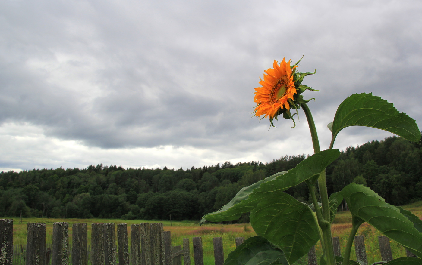 Warten auf die Sonne