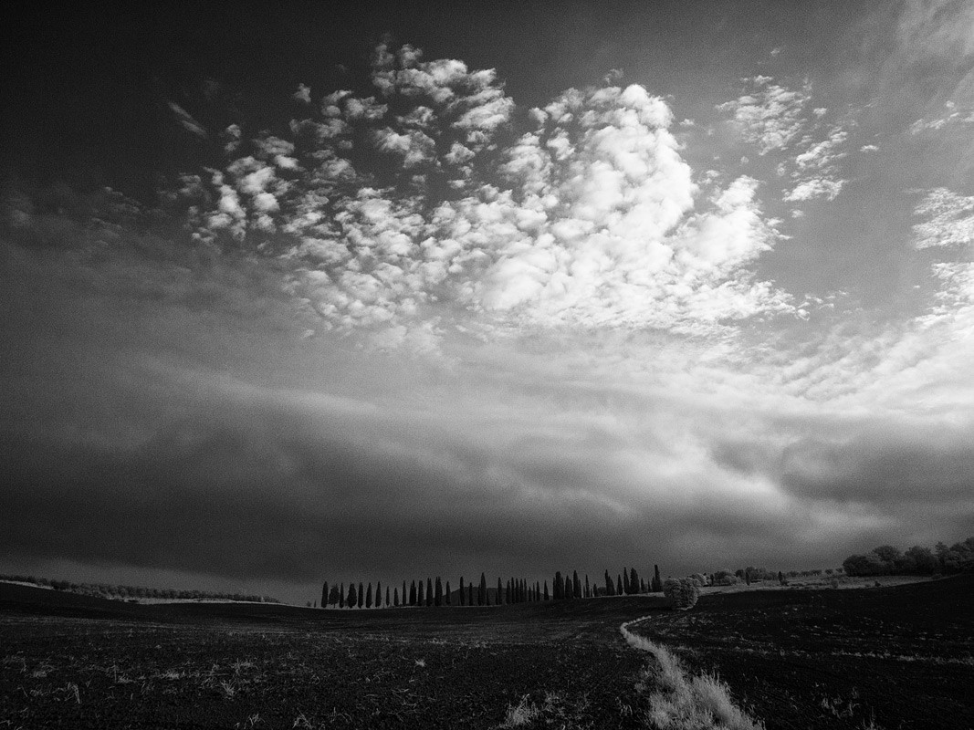 Now she's a little boy in Spain