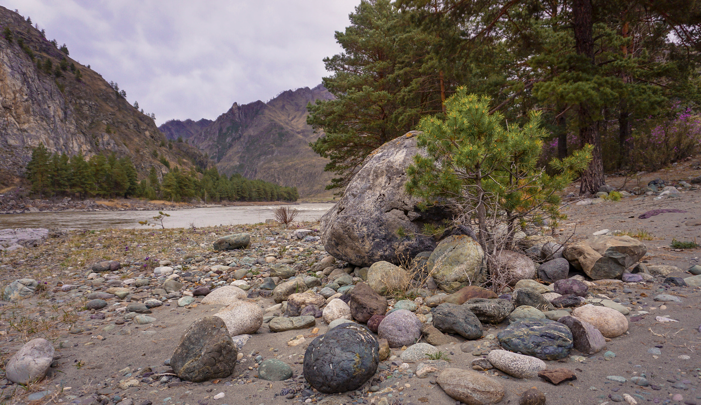 Zeit zu sammeln Steine