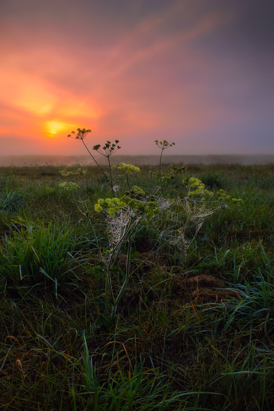 Über Morgendämmerung