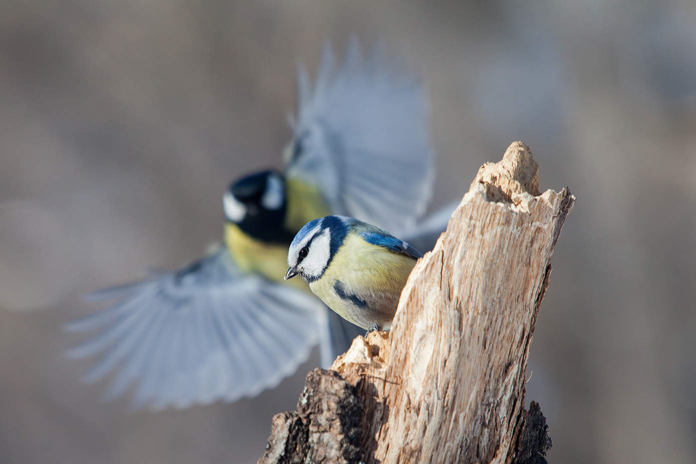 Mach dir keine Sorgen, ich bin mit dir!