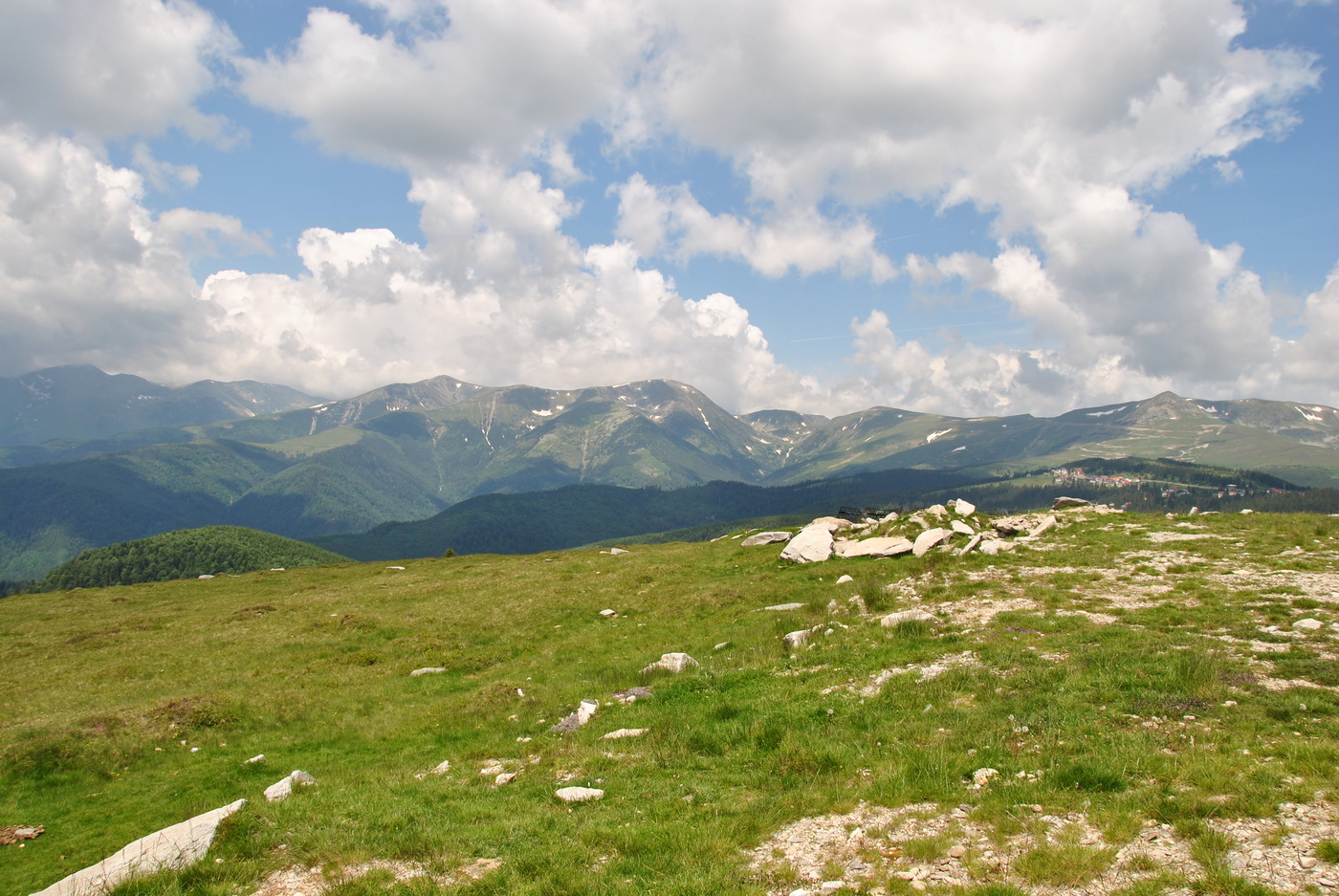Transalpina ##