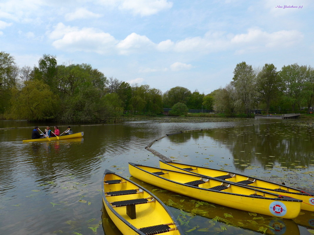 Wilhelmsburger Inselpark