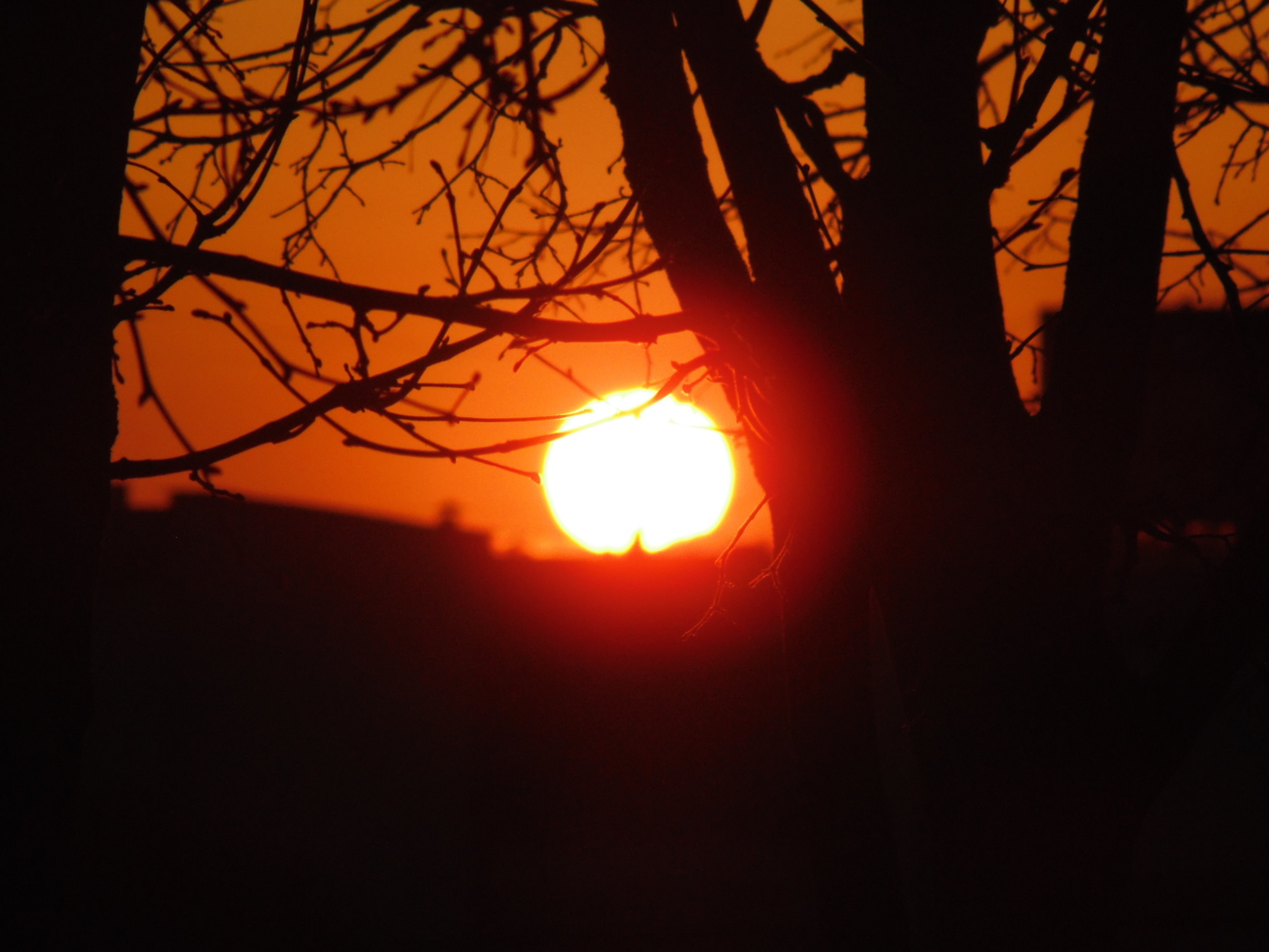 Sonnenuntergang in der Robin