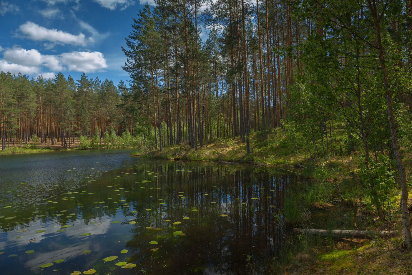 in diesem Sommer ...