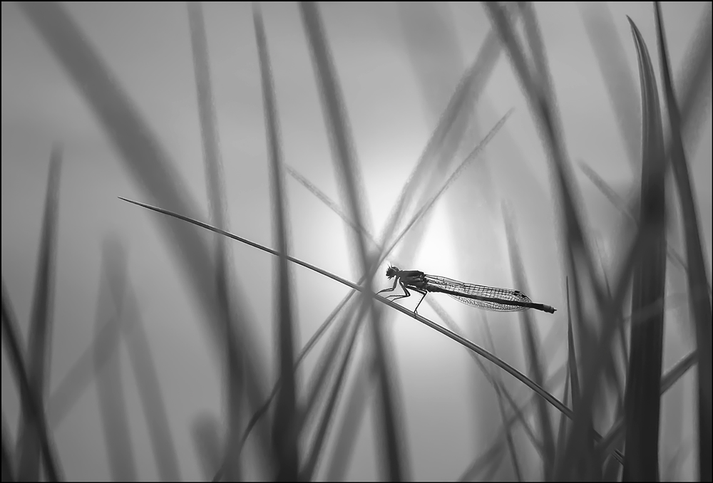 Während alle schlafen ...