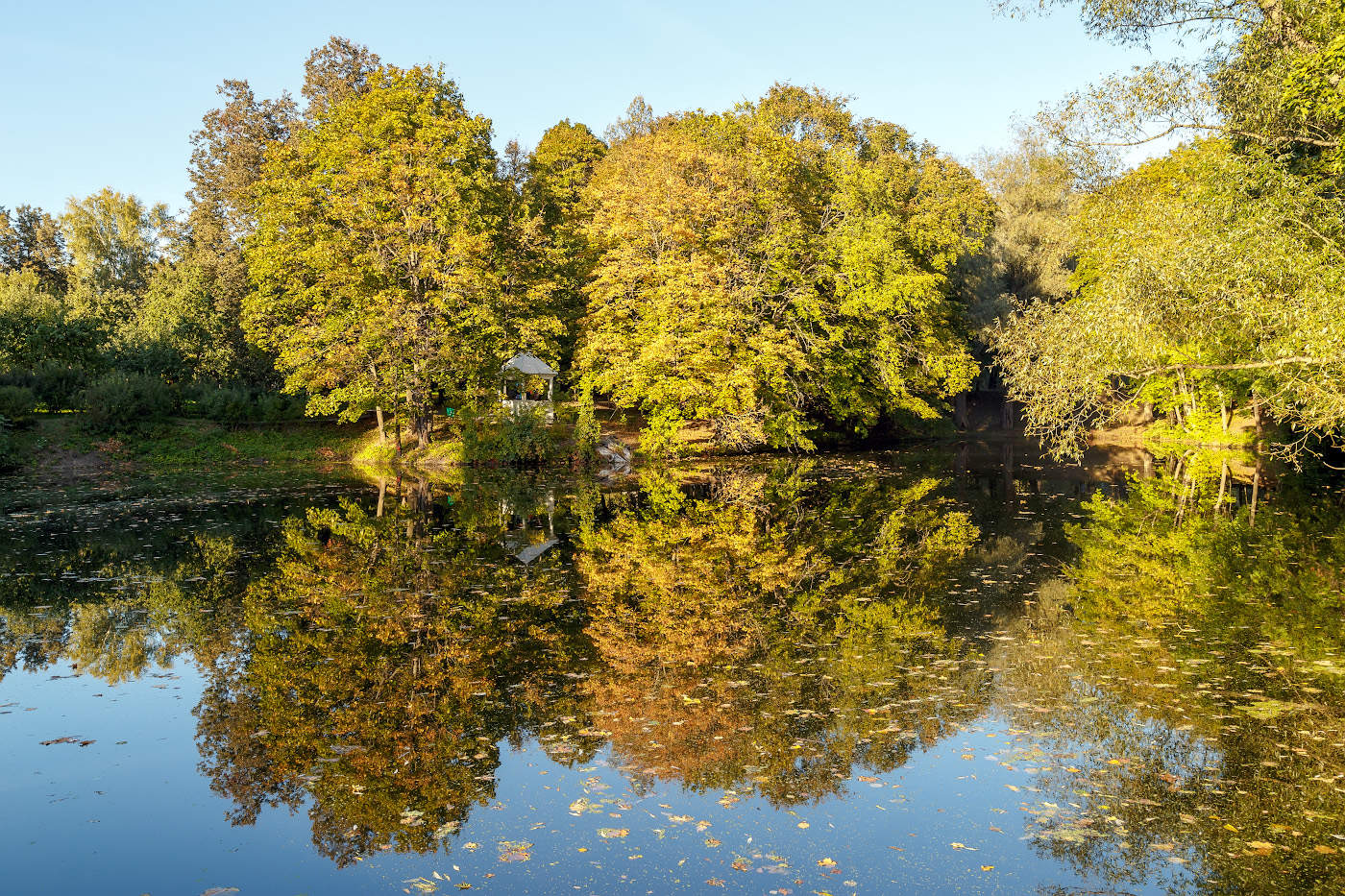 Reflexion der Herbst