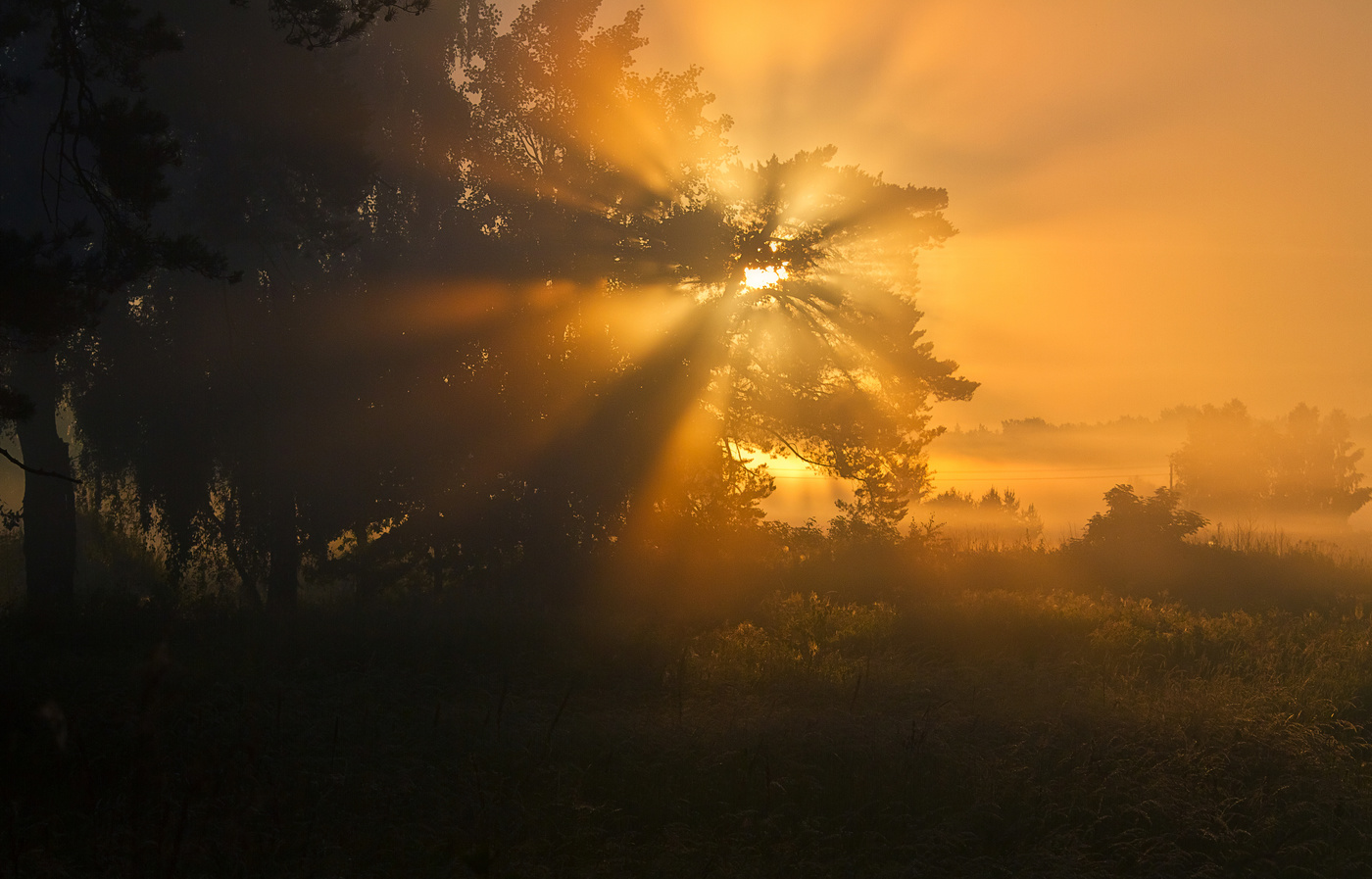 Magic of Morgenlicht