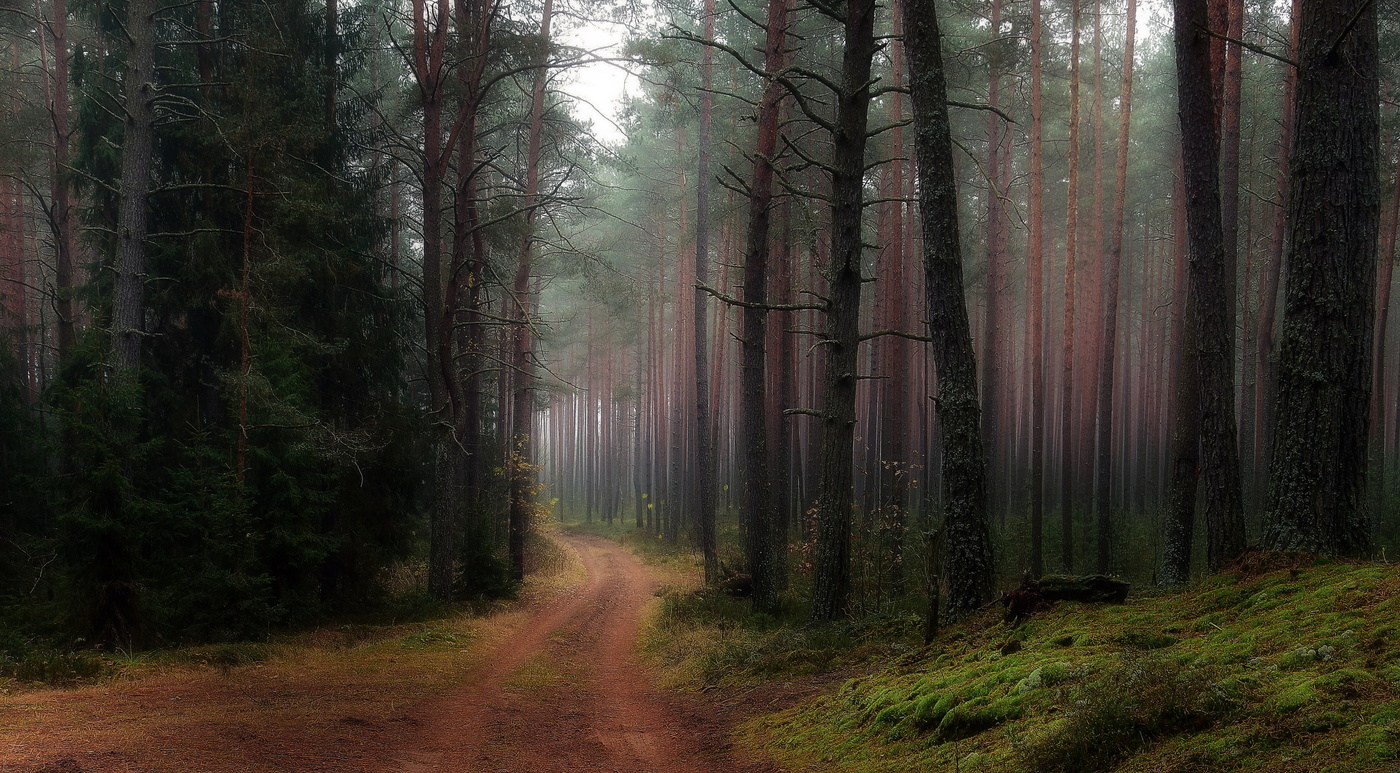 Überwiegend bewölkt