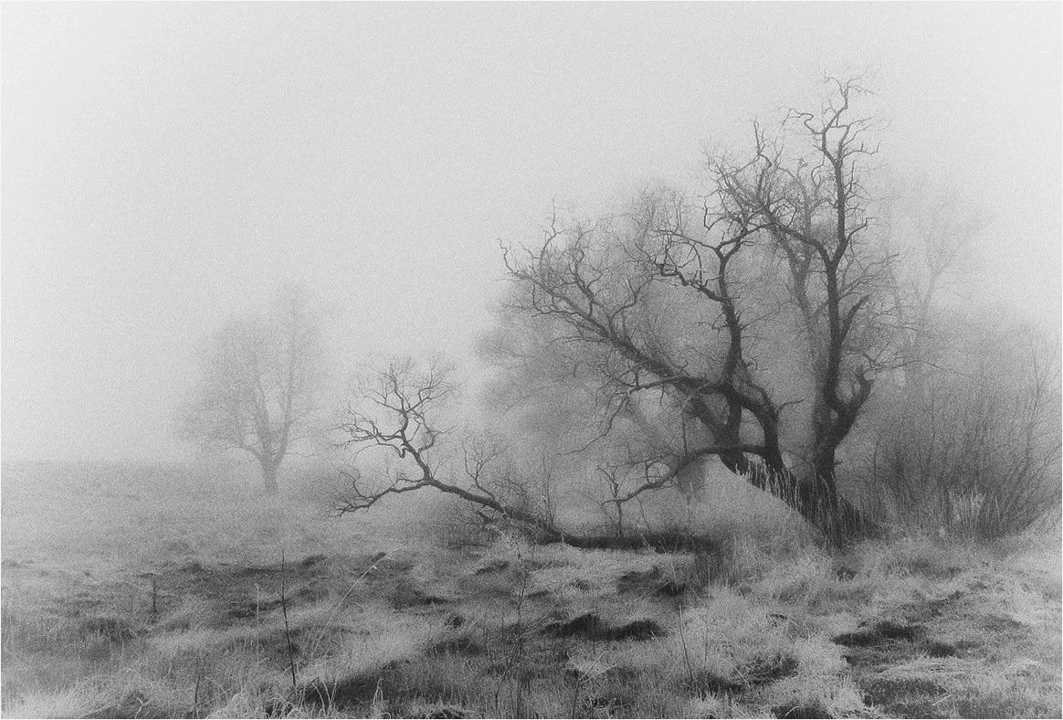 Herbst Morgendämmerung