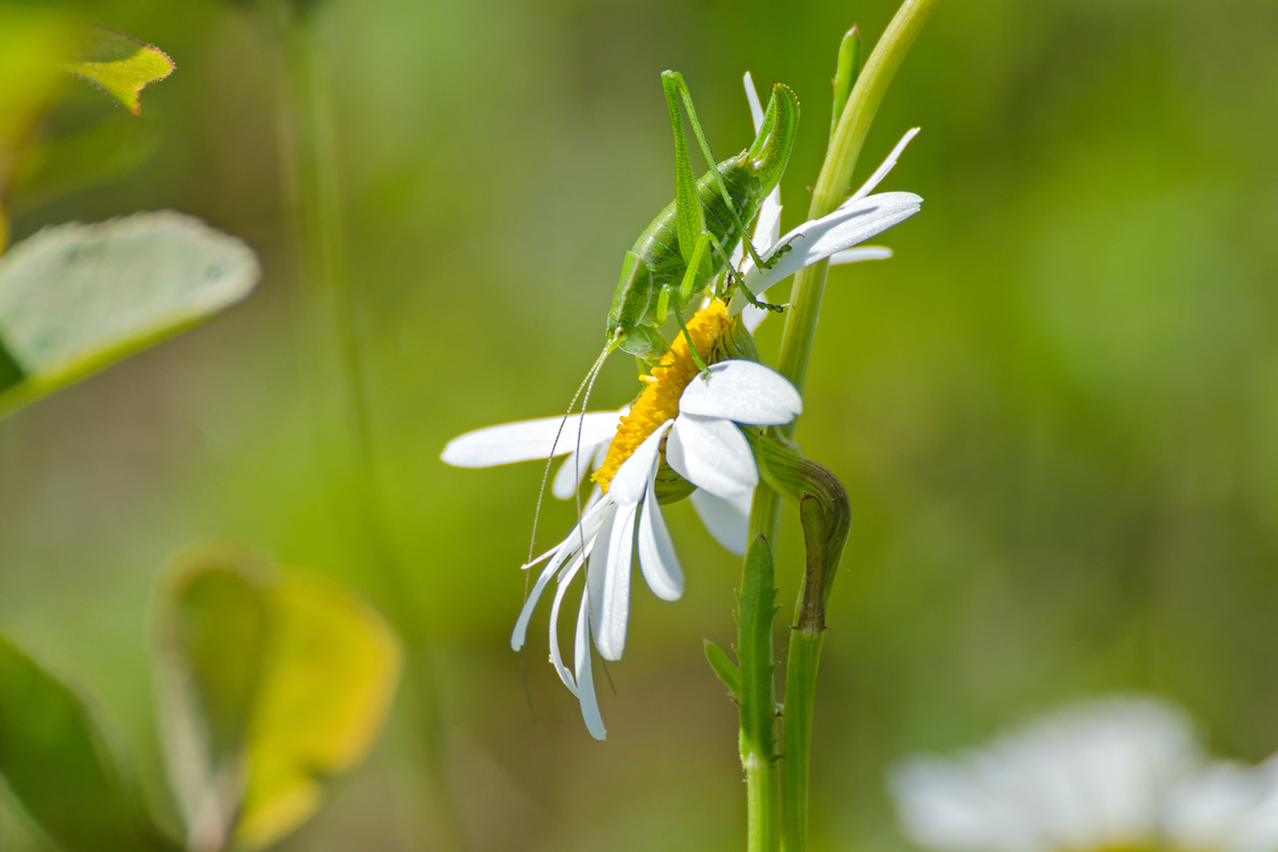 "Ich habe euch alle ..."