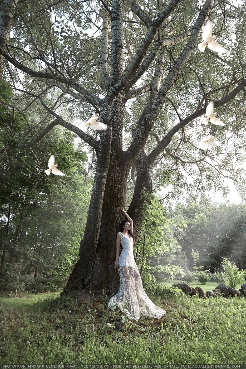 Die Gastgeberin des Waldes