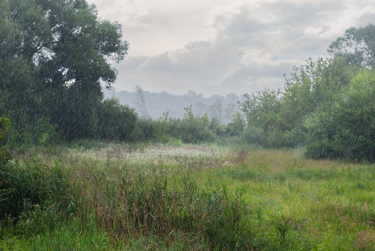 Diese Sommerregen ...