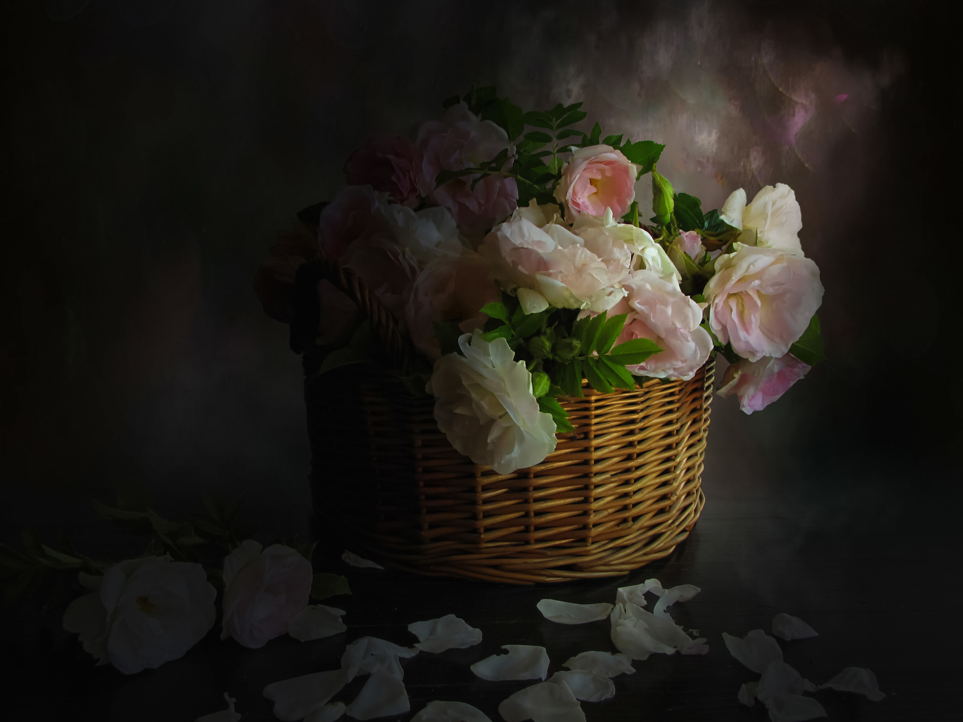 still life with pink roses in the basket