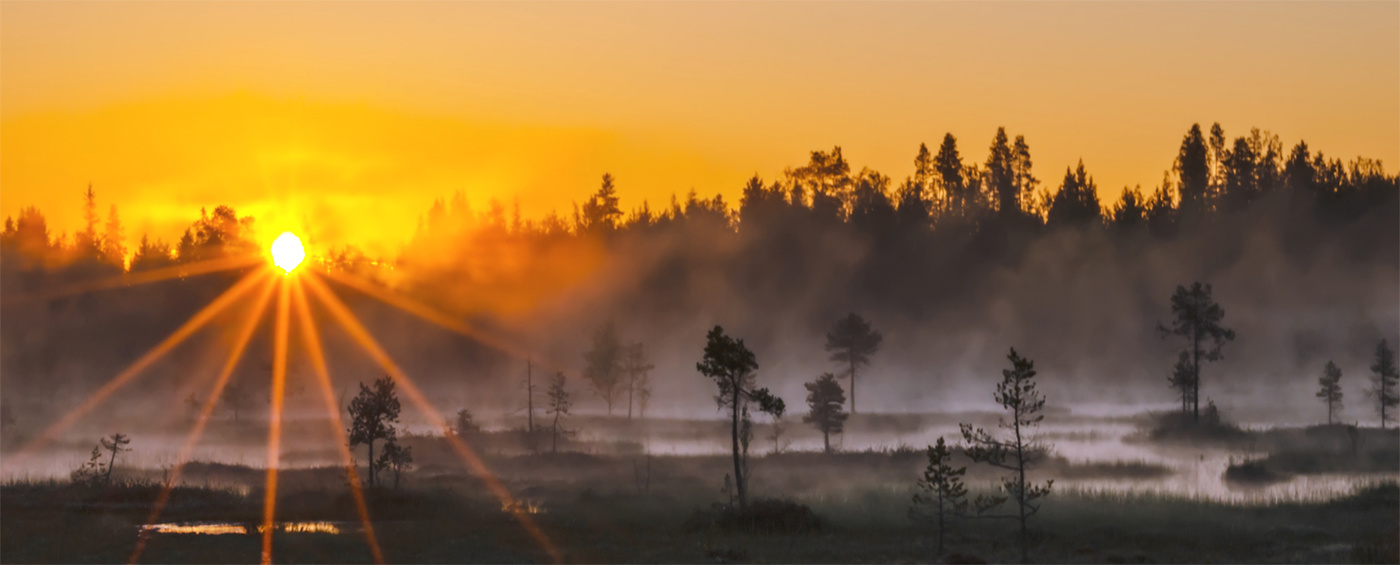 Ein neuer Tag beginnt