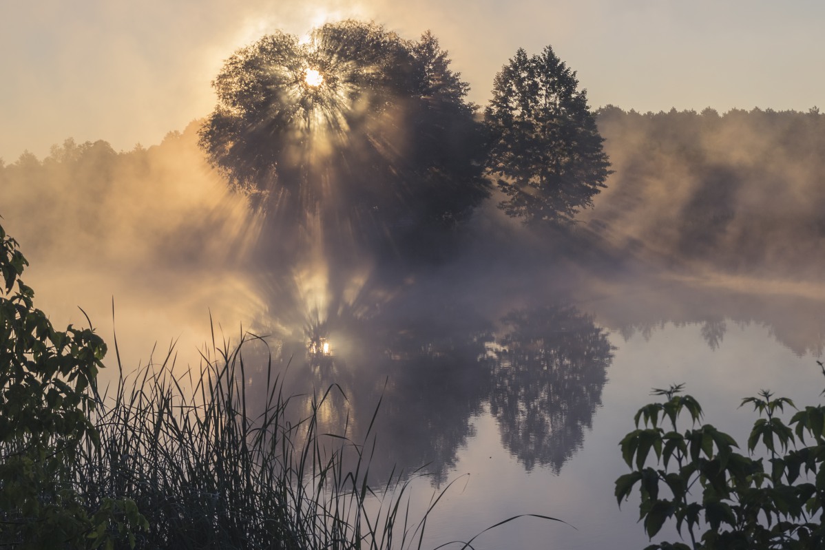 Die Geburt eines neuen Tages