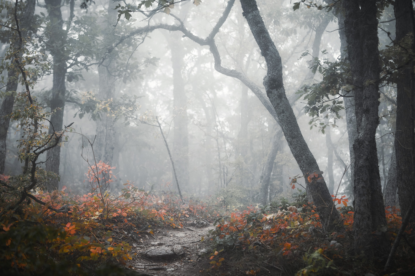 Es auf unbekannte Tracks