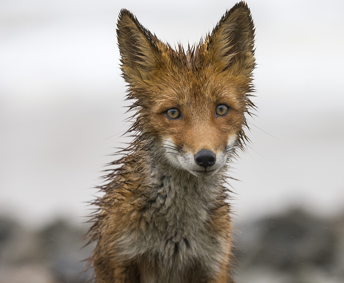 Es gibt kein schlechtes Wetter