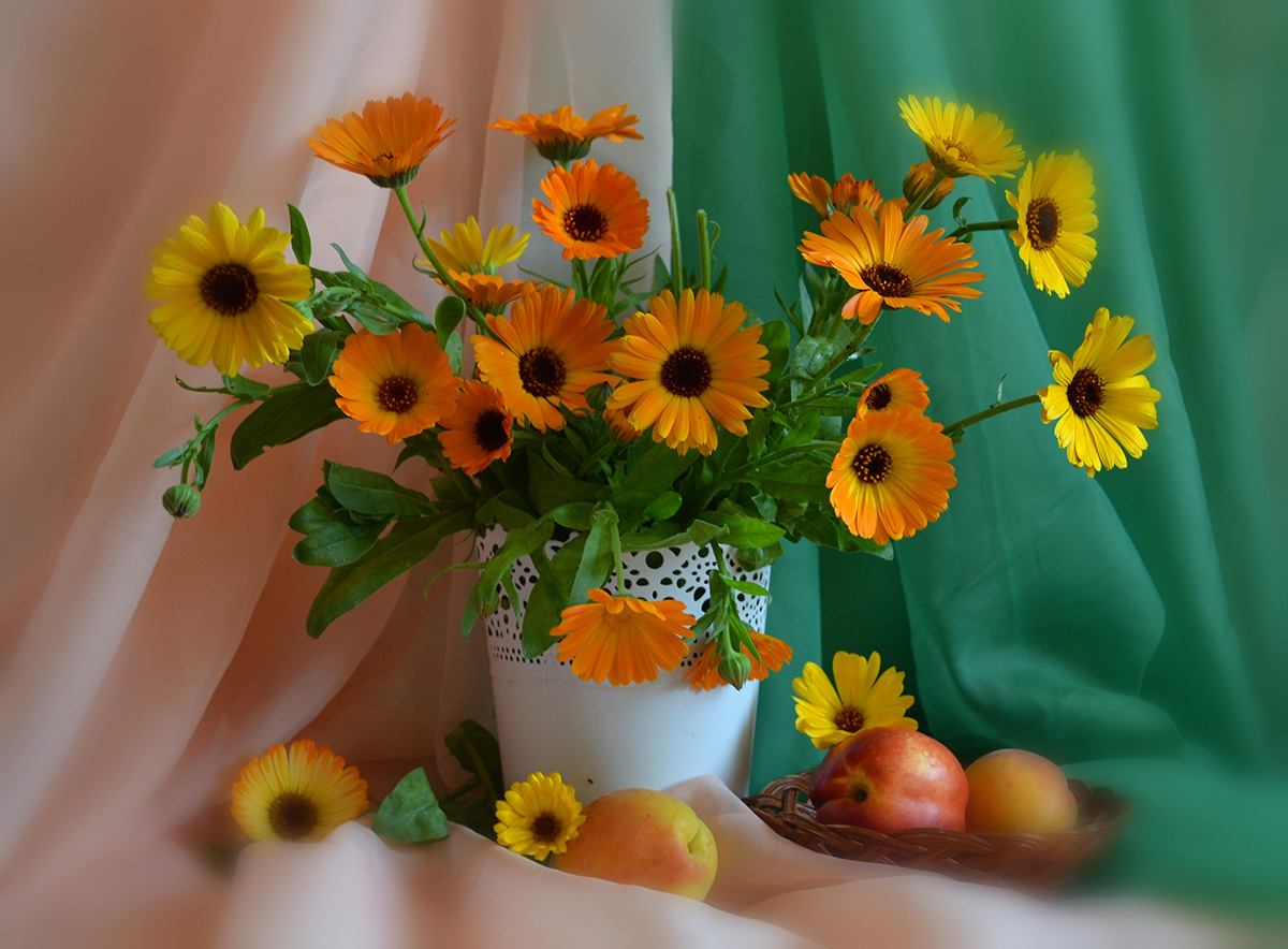 Stilleben mit Calendula