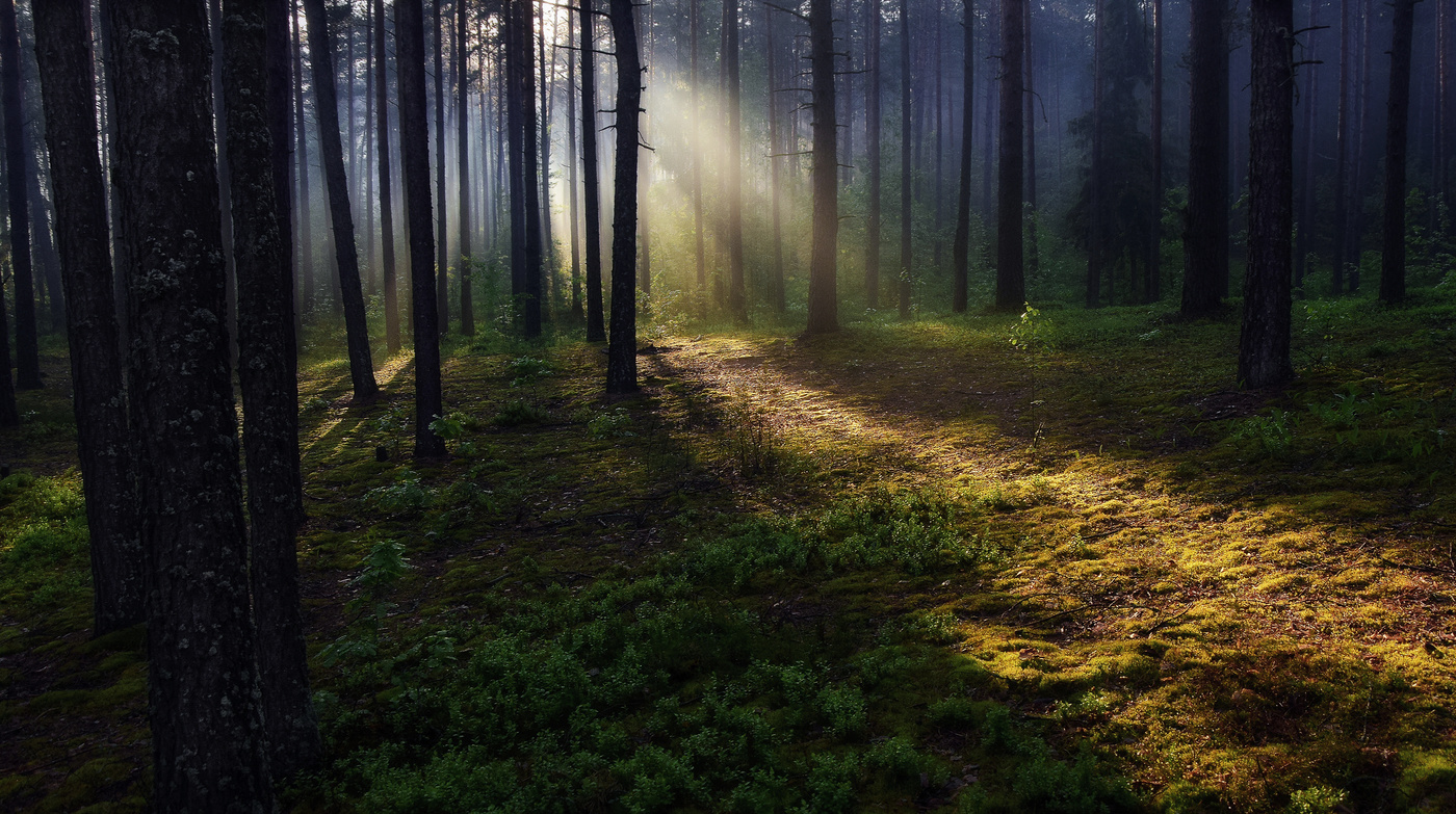 Goldene Sonnenstrahl