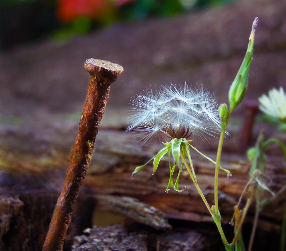 Ein zufälliges Treffen